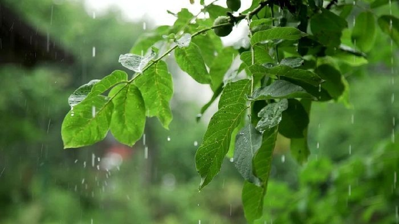 استقرار سامانه بارشی تا سه شنبه در گیلان