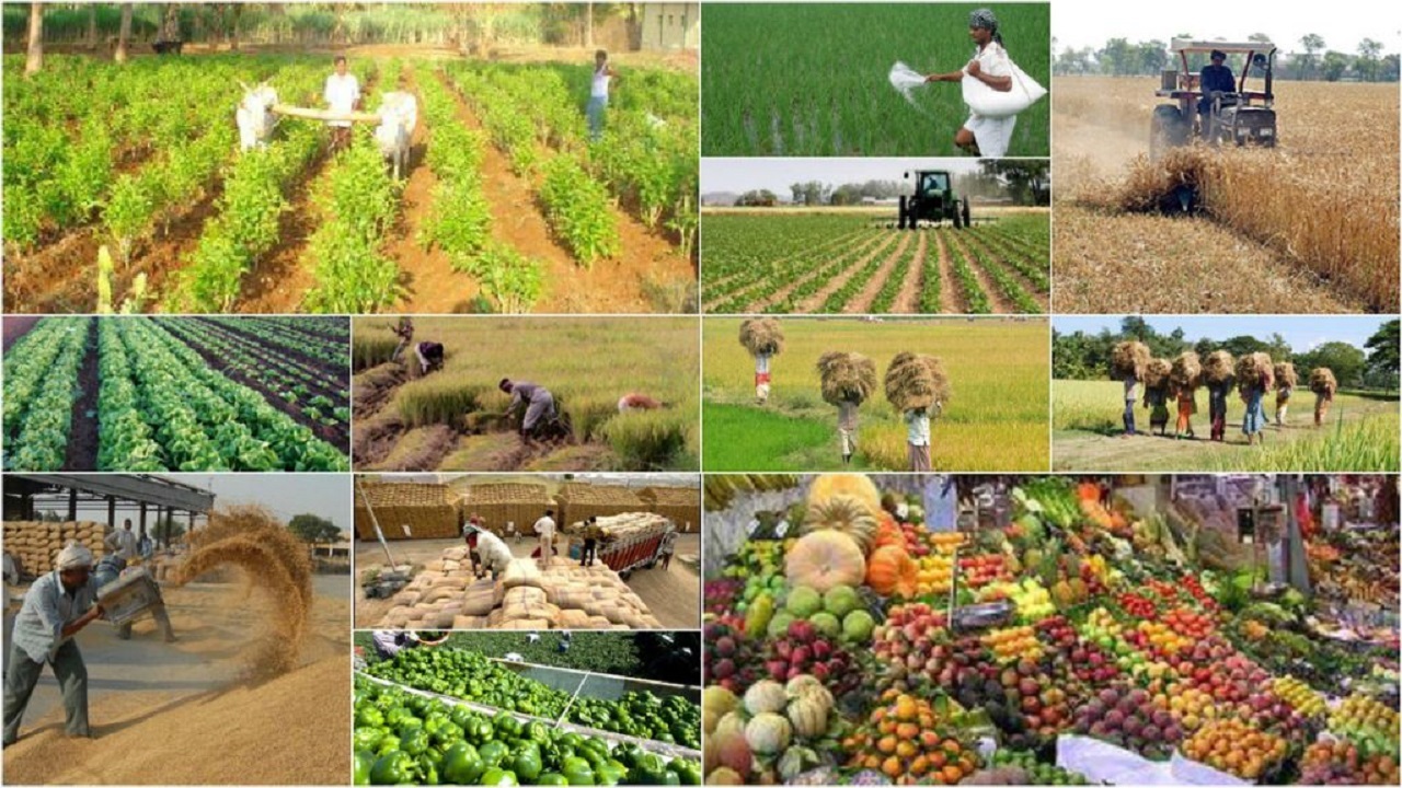 بخشودگی ۴۱۰ میلیارد ریال سود تسهیلات بانک کشاورزی چهارمحال و بختیاری
