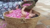 باشگاه خبرنگاران -جشنواره گل غلتان نوزادان در امیریه