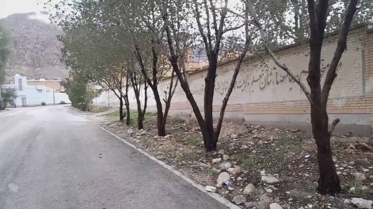 حال ناخوش درختان کاشته شده در خیابان رضوان داراب + فیلم