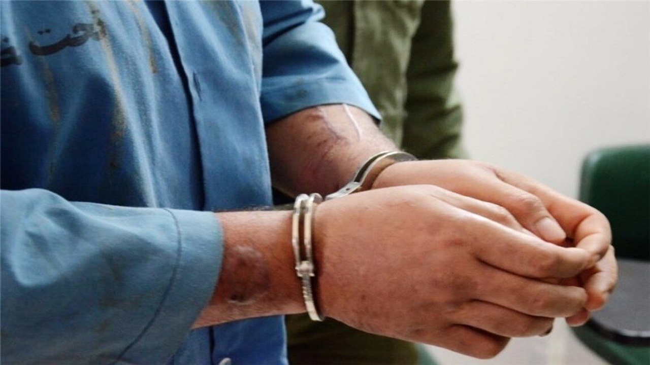 سه ماه حبس برای درمانگر غیر مجاز دام در شهرستان بروجرد