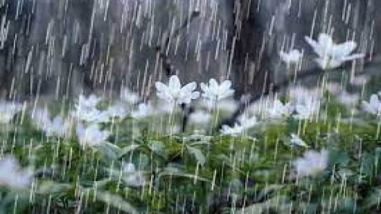 آوای خوش باران در بروجرد پیچید + فیلم