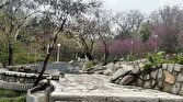 باشگاه خبرنگاران -ابلاغ دستورالعمل بهره‌برداری و نگهداری بوستان‌ها و سایت‌های بانوان در مشهد