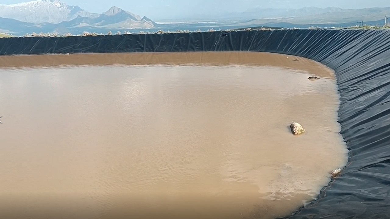 مشکل ساز شدن حوضچه برای گوسفندان در حوالی آرامگاه ویس نازار + فیلم