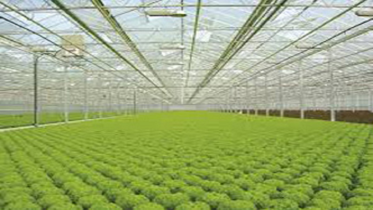 بهره‌برداری از گلخانه ۳ هزار متری دهکده اقتصاد مقاومتی بسیج سازندگی ظرف ۶ ماه آینده