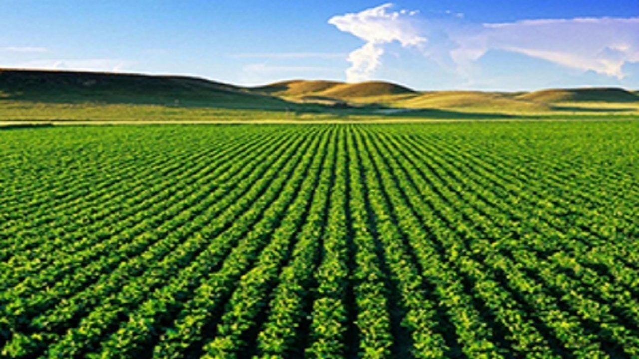 رفع تصرف ۱۲ هزار مترمربع از اراضی کشاورزی در لرستان