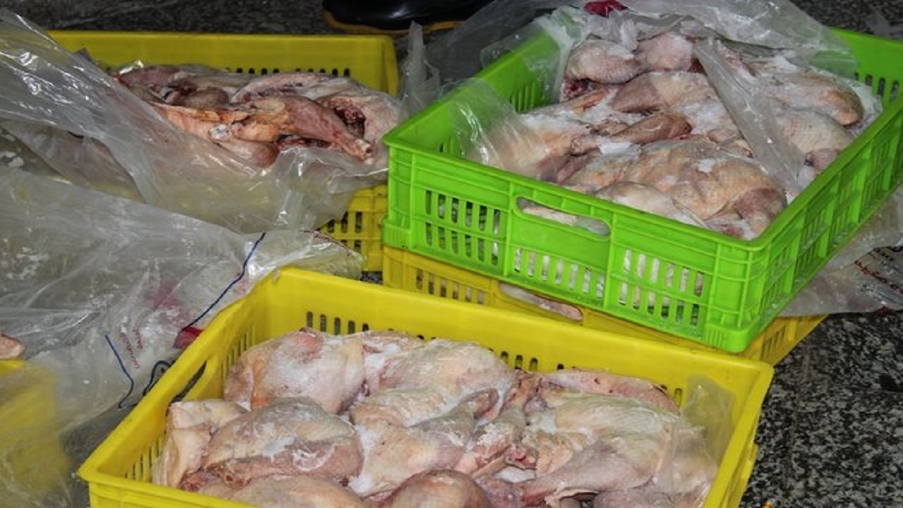 تبدیل به ضایعات بیش از ۳ هزار کیلوگرم گوشت مرغ در بیرجند