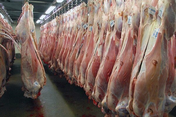 روزانه 300 تن گوشت گرم وارداتی در تهران و البرز توزیع می شود