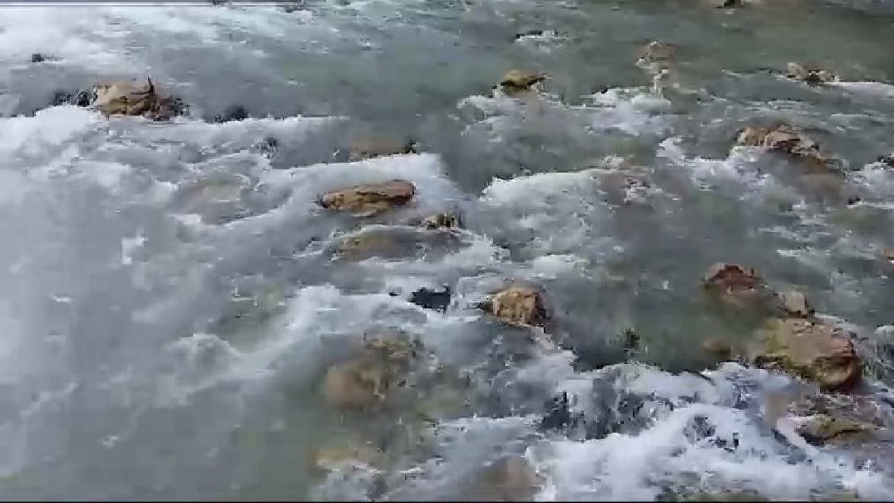 خروش رودخانه چشمه لنگان فریدونشهر