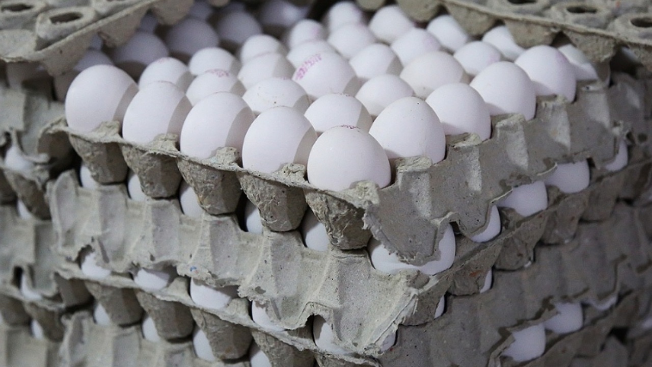 مصرف ماهانه ۸۵ هزارتن تخم مرغ در کشور