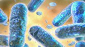 باشگاه خبرنگاران -افزایش انتقال باکتری‌های مقاوم به دارو از جوامع انسانی به طبیعت