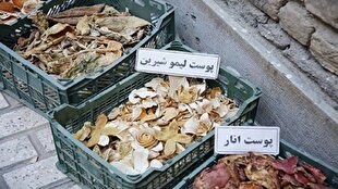 باشگاه خبرنگاران -مشارکت پنج هزار خانواده اصفهانی در طرح تبدیل زباله میوه و سبزی به خشکاله