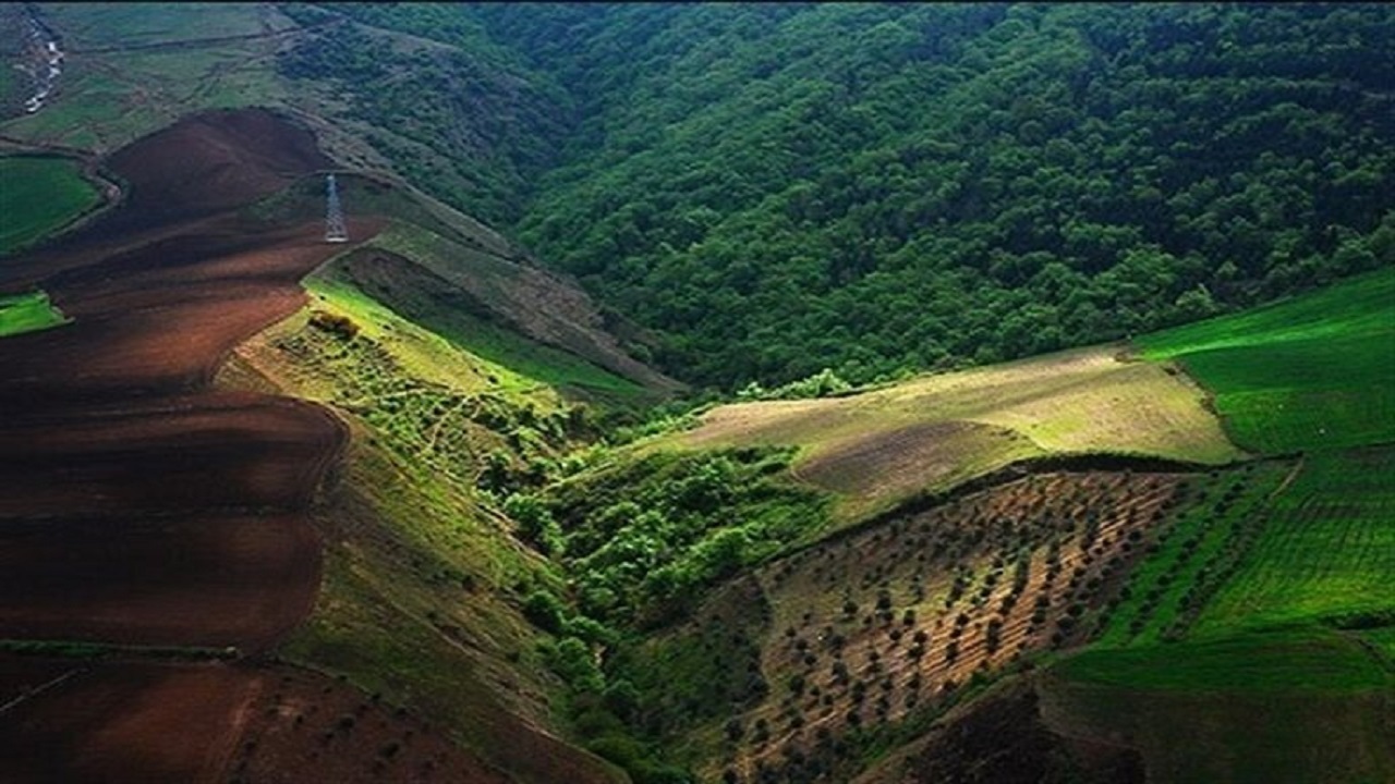 بازگشت ۳۷۰ هکتار از اراضی جنگلی مازندران به طبیعت