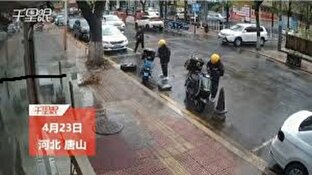 باشگاه خبرنگاران -خوش‌شانسی دو موتورسوار از سقوط درخت + فیلم