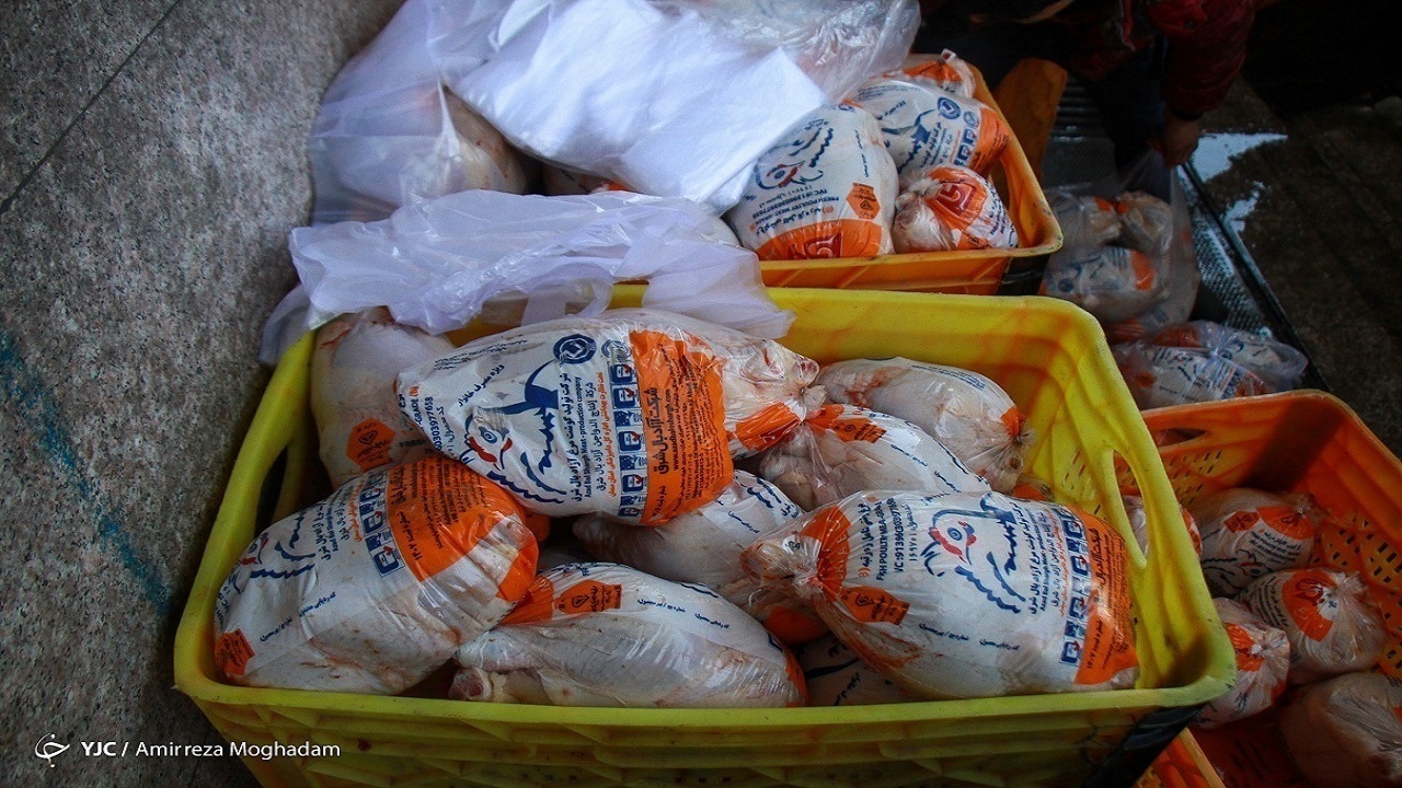 توزیع روزانه 1100 تن مرغ در تهران