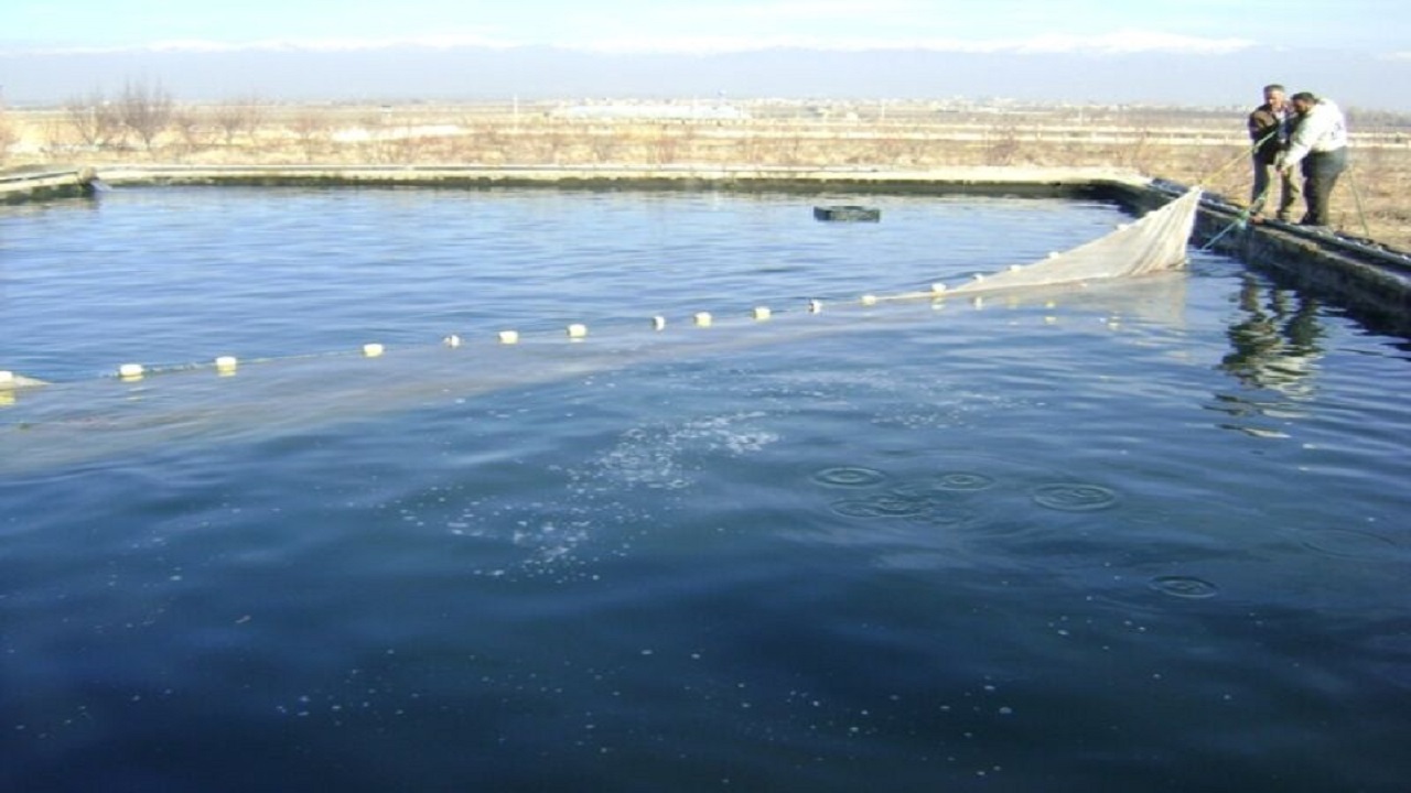 استخر‌های ذخیره آب کشاورزی در چهارمحال و بختیاری مهیای پرورش ماهی