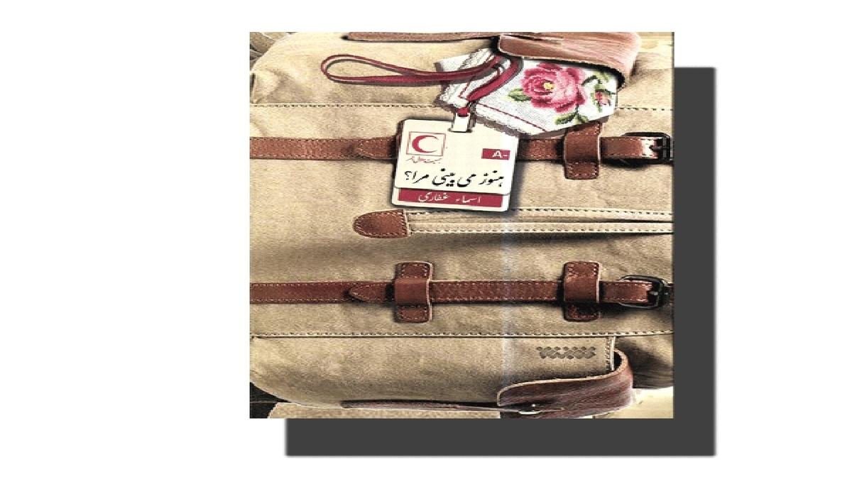 باشگاه خبرنگاران -سرد و گرم روزگار چشیدنِ همسر شهید مدافع حرم با کتاب «هنوز می‌بینی مرا»