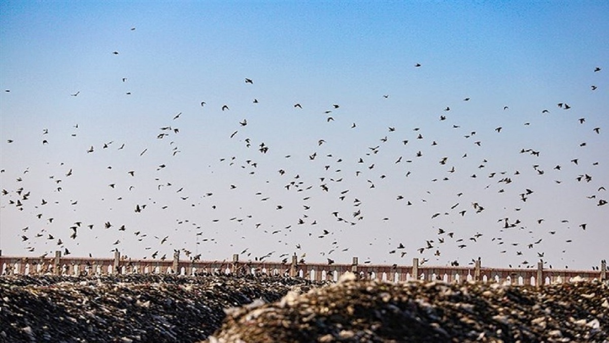 باشگاه خبرنگاران -بحران پسماند در ایران؛ زباله‌ها آینده‌مان را دفن می‌کنند!