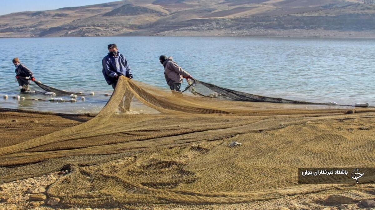 باشگاه خبرنگاران -اشتغال حدود ۳ هزار نفر در صنعت شیلات و پرورش آبزیان آذربایجان‌غربی