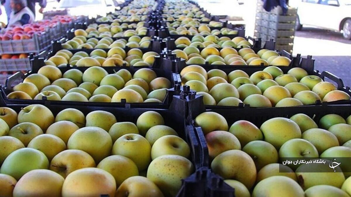 باشگاه خبرنگاران -پیش‌بینی برداشت یک میلیون و ۲۰۰ هزار تن سیب درختی در آذربایجان‌غربی