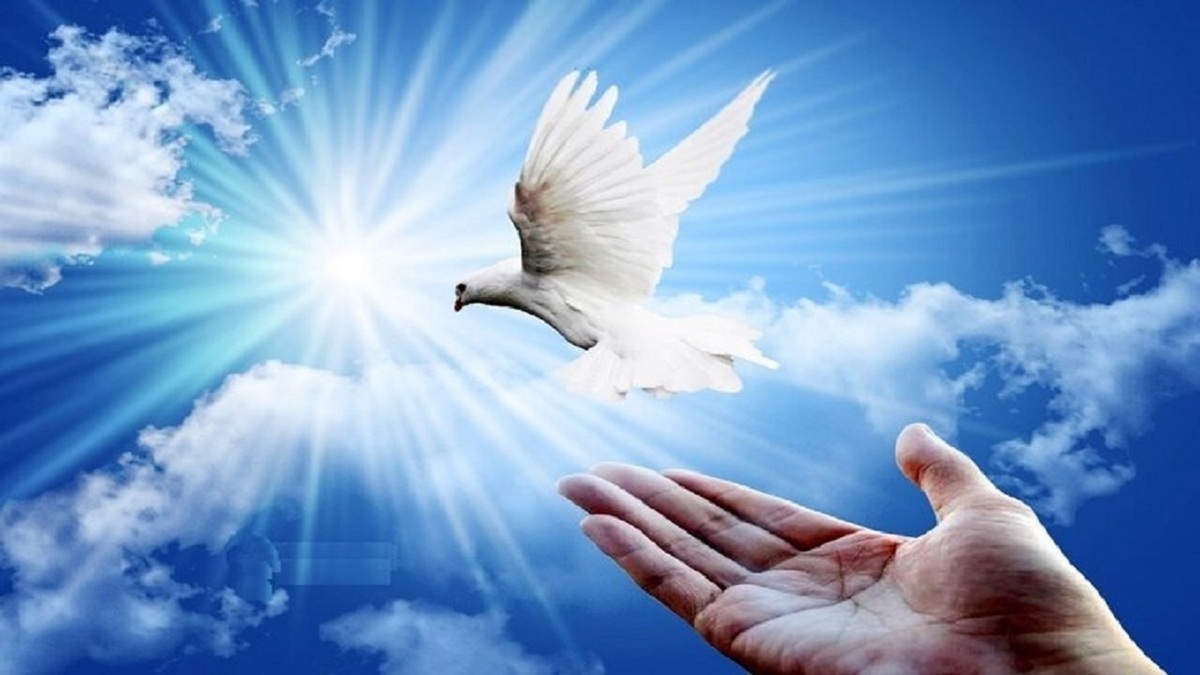 باشگاه خبرنگاران -آزادی ۱۶۱ زندانی جرائم غیر عمد در استان همدان