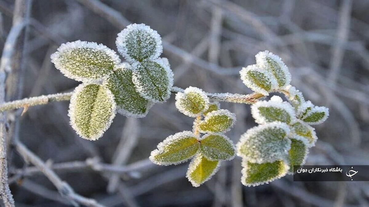 باشگاه خبرنگاران -سوز سرمای پاییزی در آذربایجان‌غربی بیشتر شد
