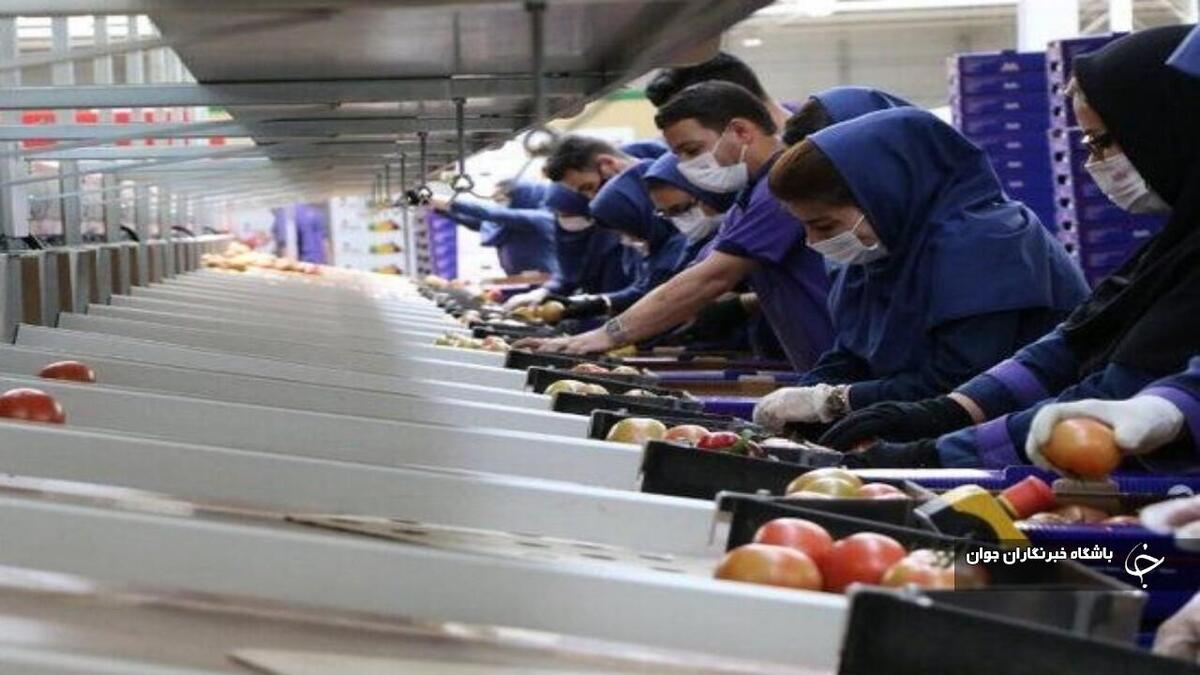 باشگاه خبرنگاران -۱۴۷ تعاونی در آذربایجان‌غربی احیا شد