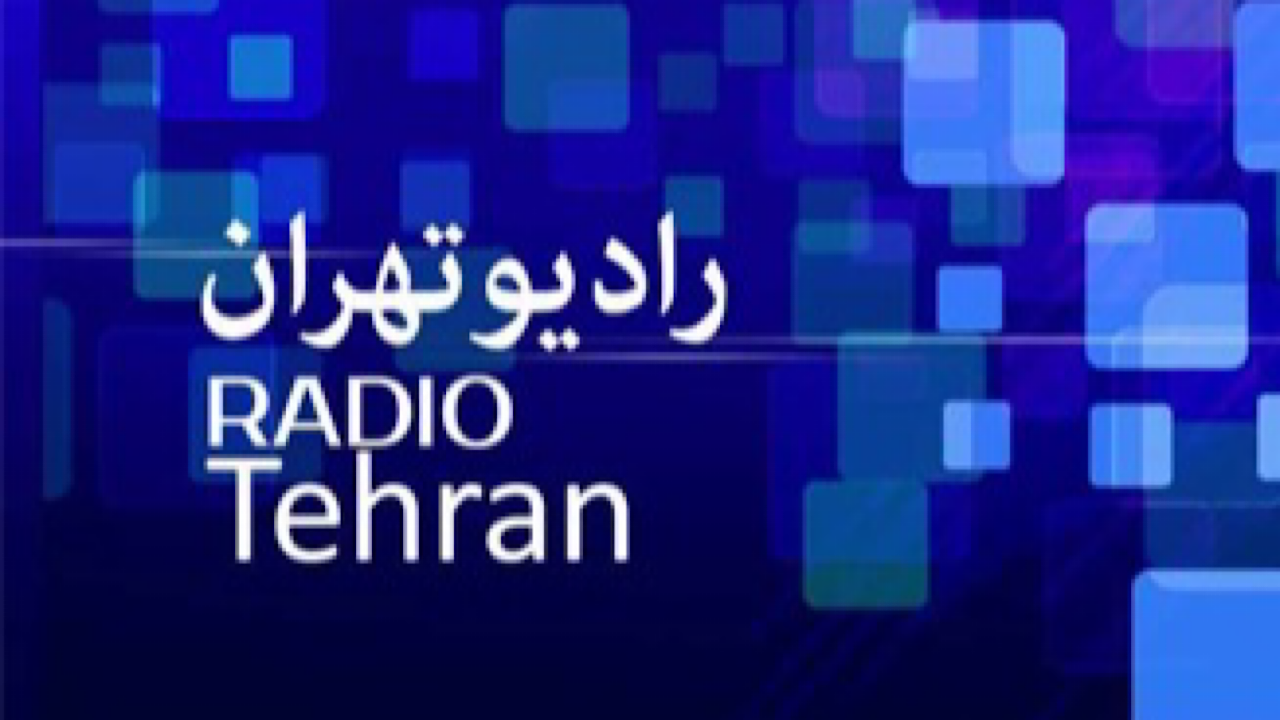 نفوذ فرهنگی، یکی از دلایل تعدد و تکثر نهاد‌های فرهنگی است