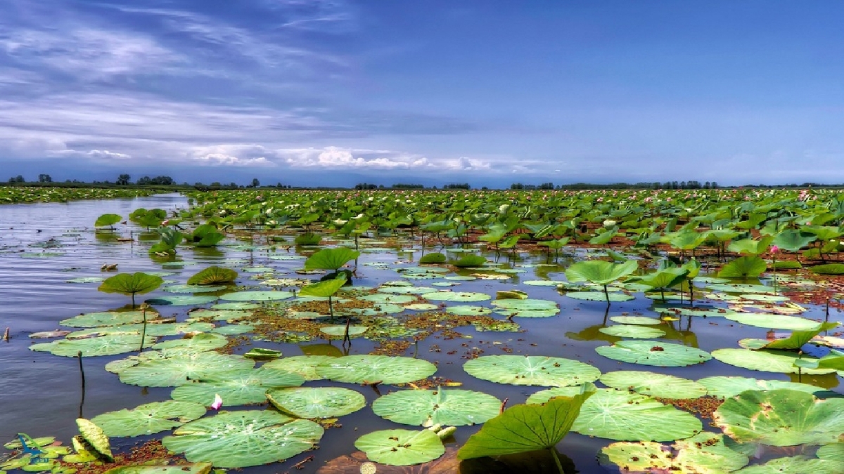 باشگاه خبرنگاران -عضویت ایران در کمیته راهبری کنوانسیون رامسر؛ گام دولت در تقویت دیپلماسی تالاب‌ها