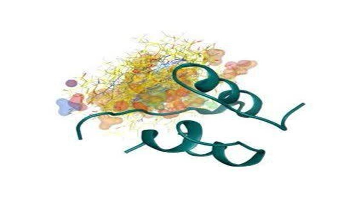 باشگاه خبرنگاران -محافظت از لوزالمعده در برابر دیابت: پیوند شگفت‌انگیز آهن و انسولین