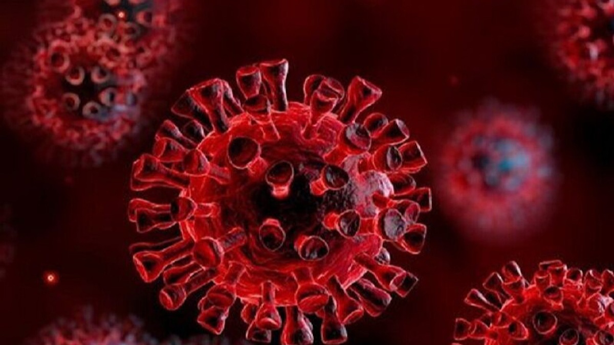 باشگاه خبرنگاران -آخرین اخبار درباره «نیپا» / این بیماری درحال حاضر دارو یا واکسنی ندارد