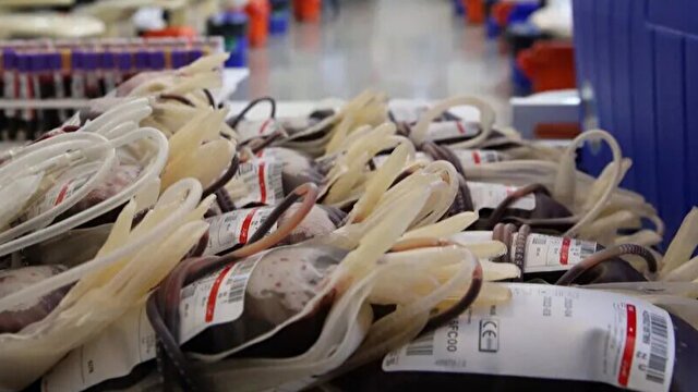 جدیدترین و مهمترین اخبار علمی پزشکی | خبرگزاری باشگاه خبرنگاران