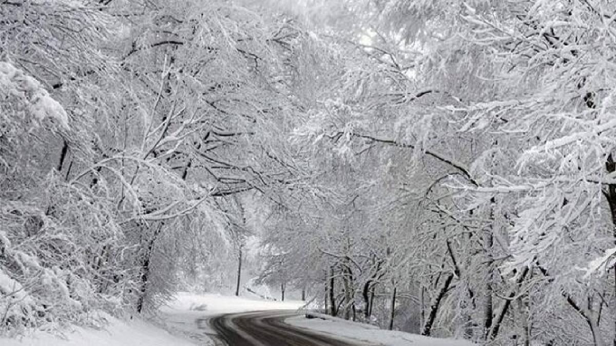 باشگاه خبرنگاران -هشدار زرد هواشناسی / بارش برف در ارتفاعات و دامنه‌های گیلان