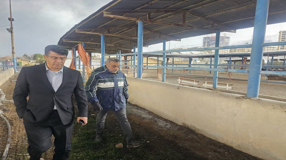 باشگاه خبرنگاران -بازدید رییس فدراسیون چوگان از مجموعه‌های چوگان و سوارکاری تهران