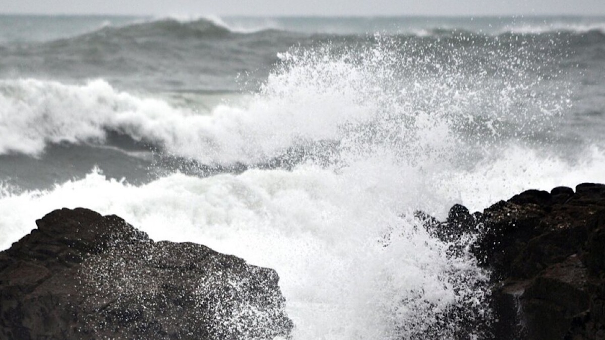 باشگاه خبرنگاران -هشدار سازمان هواشناسی برای اختلال در تردد و فعالیت‌های دریایی در سواحل جنوبی کشور