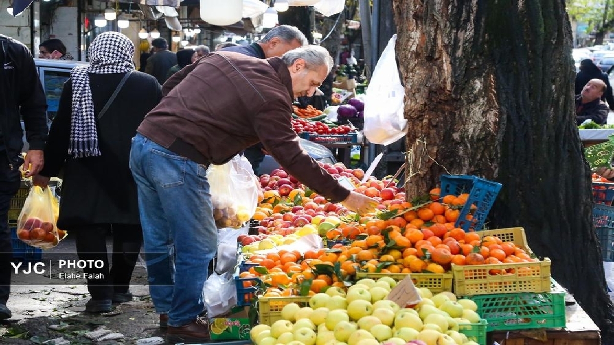 باشگاه خبرنگاران -آغاز توزیع گسترده میوه شب عید/ افزایش سه برابری مراکز عرضه