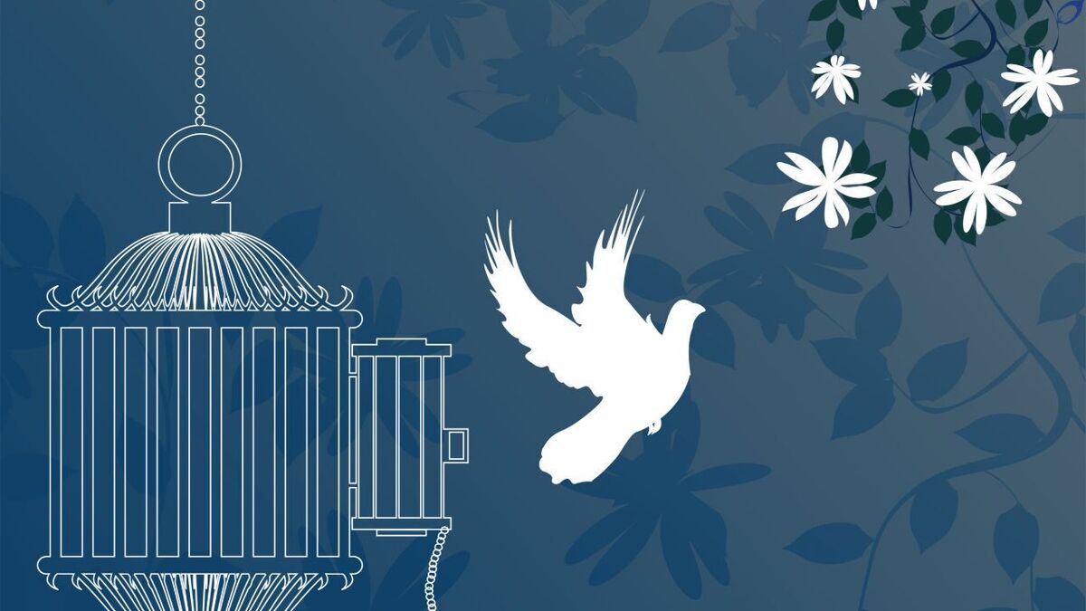 باشگاه خبرنگاران -بخشش قاتل پس از ۲۰ سال در اهر