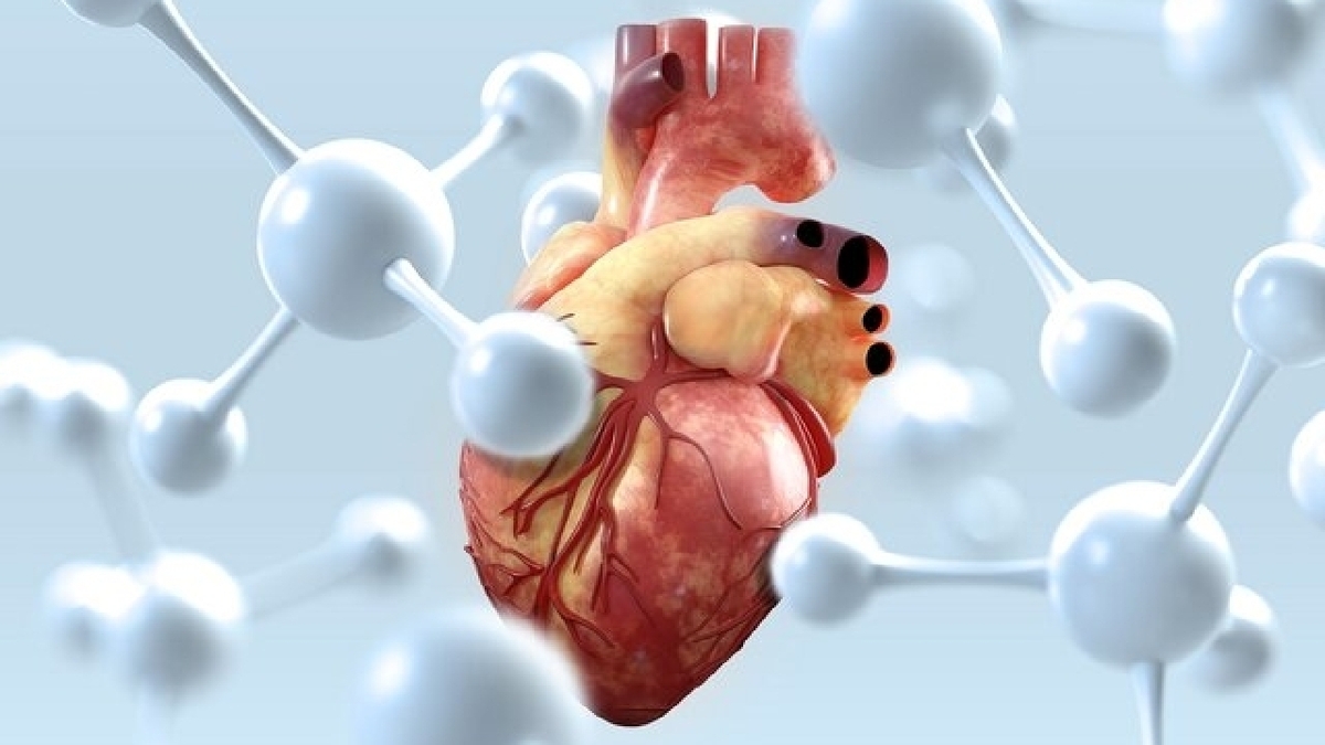 باشگاه خبرنگاران -تاکید بر مصرف منظم دارو‌های بیماران قلبی در روز‌های استرس‌زا