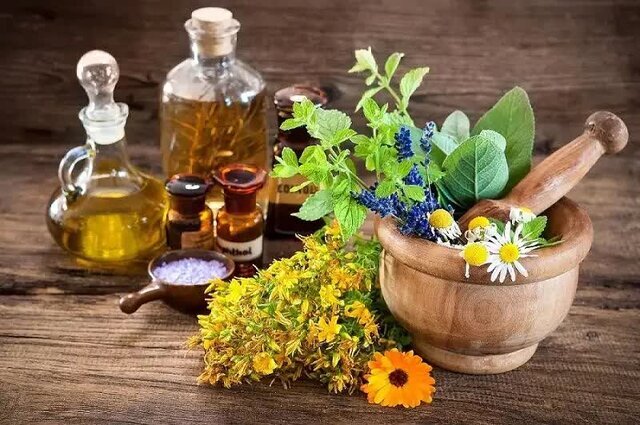 از کاشت تا عرضه/ بنیاد برکت برای بهینه‌سازی زنجیره ارزش گیاهان دارویی فارس