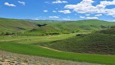 باشگاه خبرنگاران -گردش یک روز بهاری در روستای گردشگری لاله گرمی + عکس