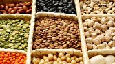 حبوبات،هزارتن،لوبيا،واردات،سفارش،ثبت،چيتي،افتخاري،سريع،آمار