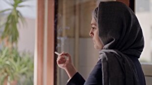 سيگار