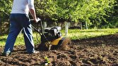 باشگاه خبرنگاران -شخم زدن زمین‌های کشاورزی و باغ‌های انگور در روستای جغدان + فیلم