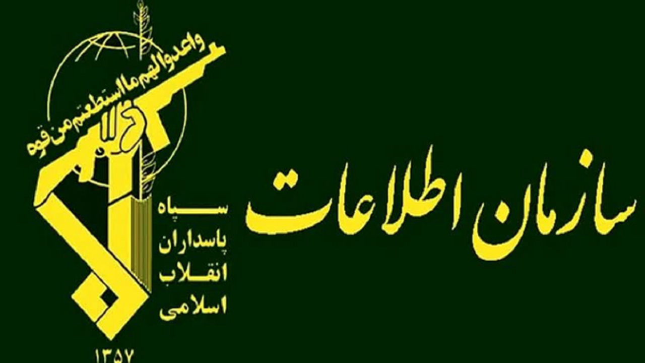 بازداشت گردانندگان شبکه ریزپرنده‌ها در چهارمحال و بختیاری
