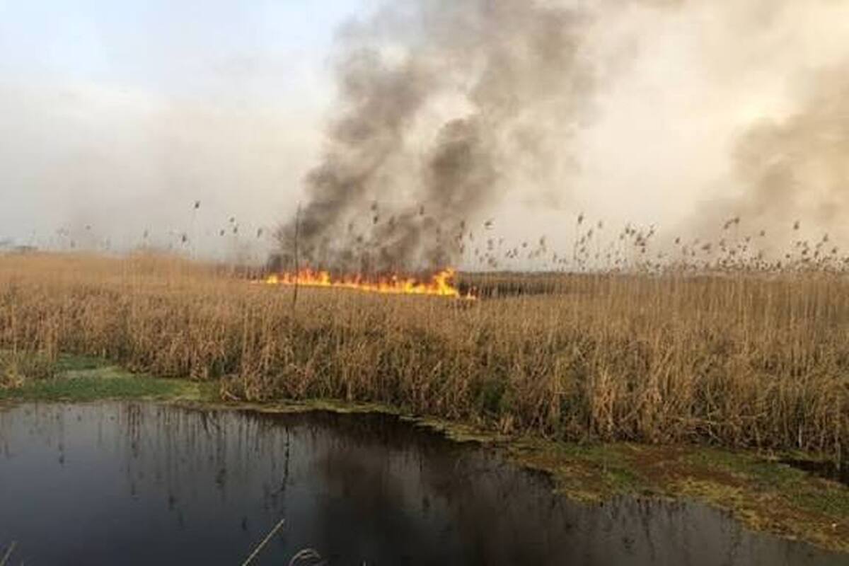 باشگاه خبرنگاران -کشور عراق متعهد به مهار آتش‌سوزی هورالعظیم است