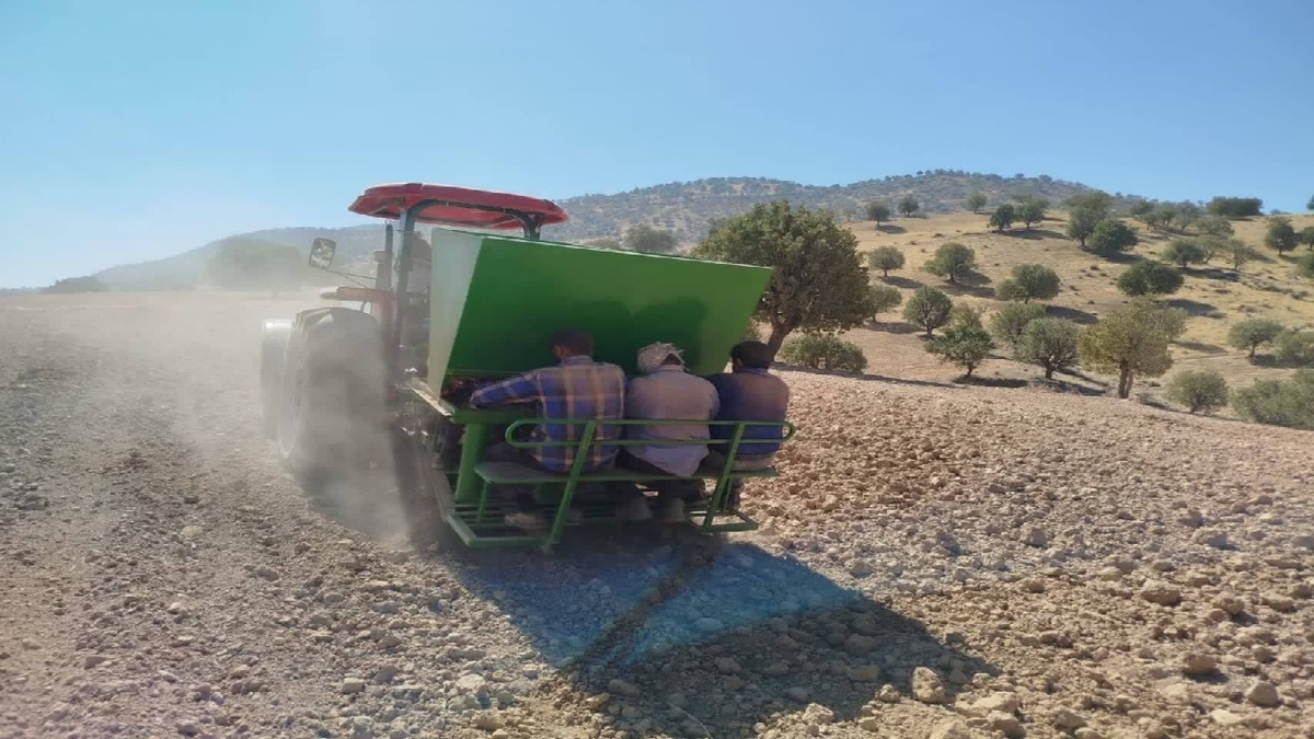 باشگاه خبرنگاران -کشت نیمه مکانیزه زعفران در دزپارت