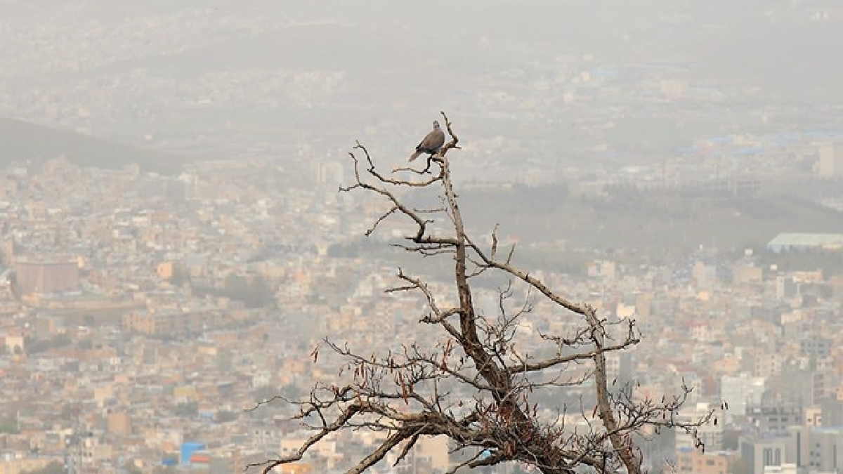 باشگاه خبرنگاران -آلودگی هوا در ۱۱ شهر خوزستان؛ اهواز در وضعیت بنفش و بسیار ناسالم