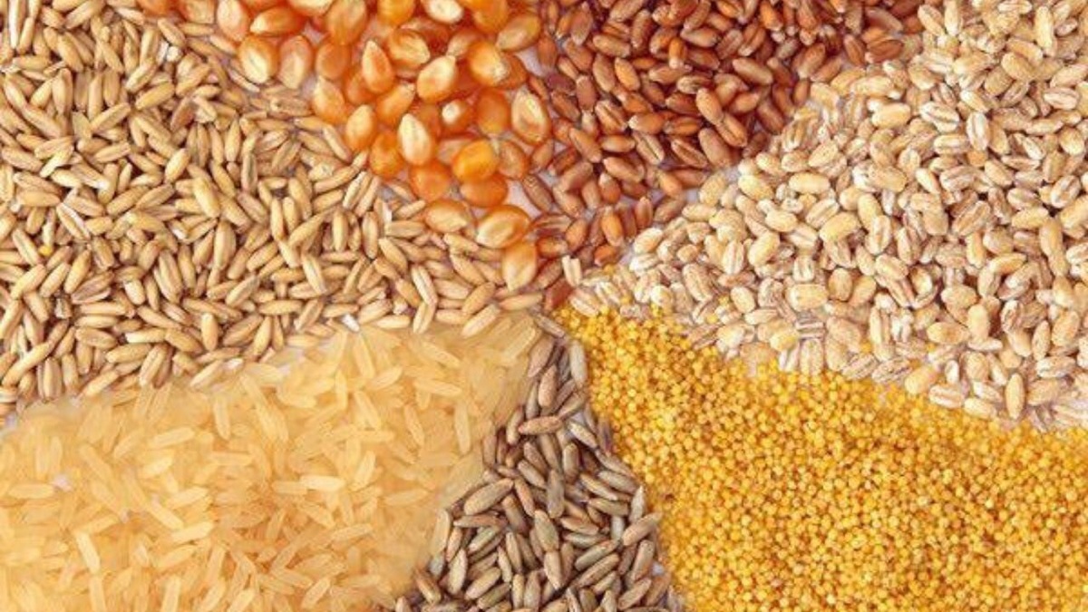 باشگاه خبرنگاران -ترخیص بیش از ۲۳۰ هزار تُن نهاده دامی در نیمه نخست سال