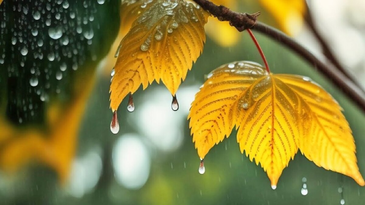 باشگاه خبرنگاران -بارش اولین باران پاییزی در اهواز+ فیلم