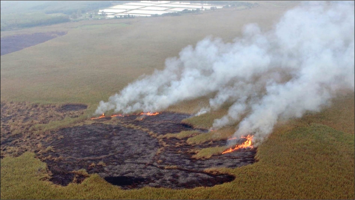 باشگاه خبرنگاران -ضرورت چاره‌اندیشی بین‌المللی برای رفع مشکل آلایندگی‌های هورالعظیم